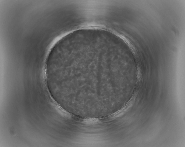 X0000111051462200907161355