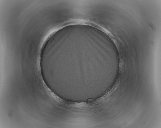 X0000111051464200907161355