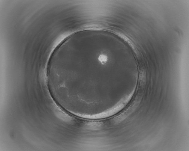 X0000111051466200907161355