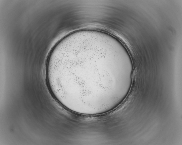 X0000111051467200907161355