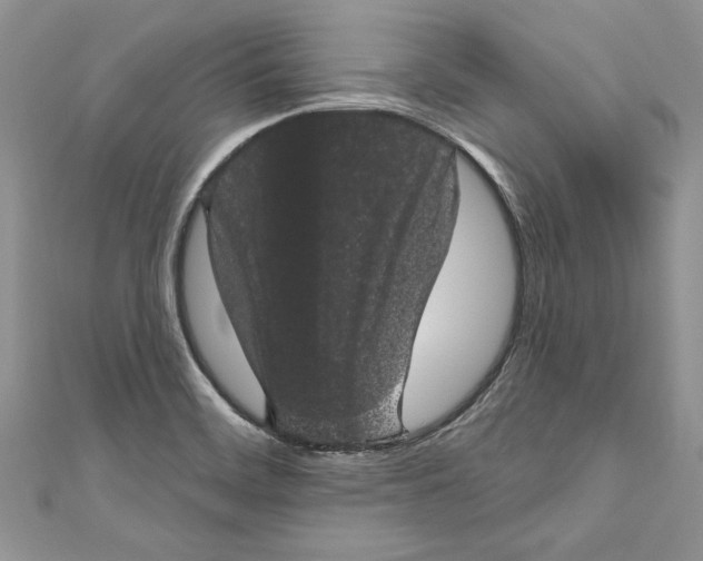 X0000111051468200907161355