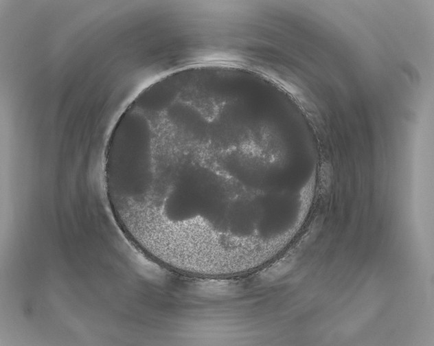 X0000111051470200907161355