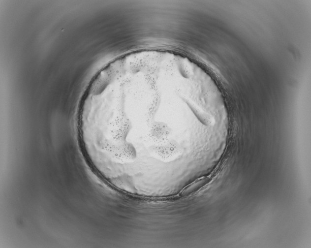 X0000111051471200907161355