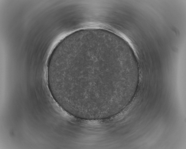 X0000111051472200907161355