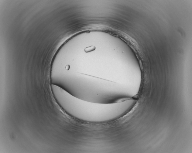 X0000111051473200907161355