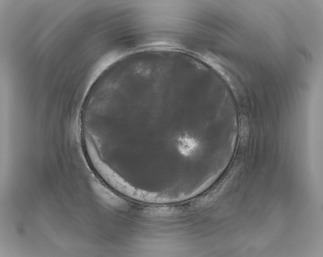 X0000111051474200907161355