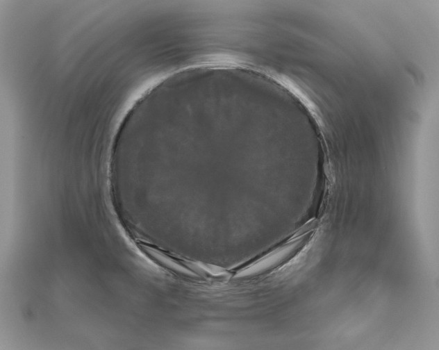 X0000111051477200907161355