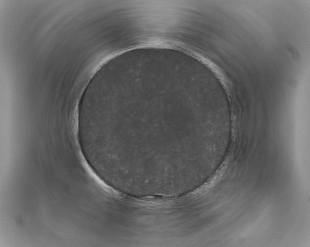 X0000111051479200907161355