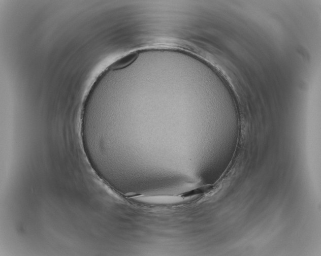 X0000111051480200907161355