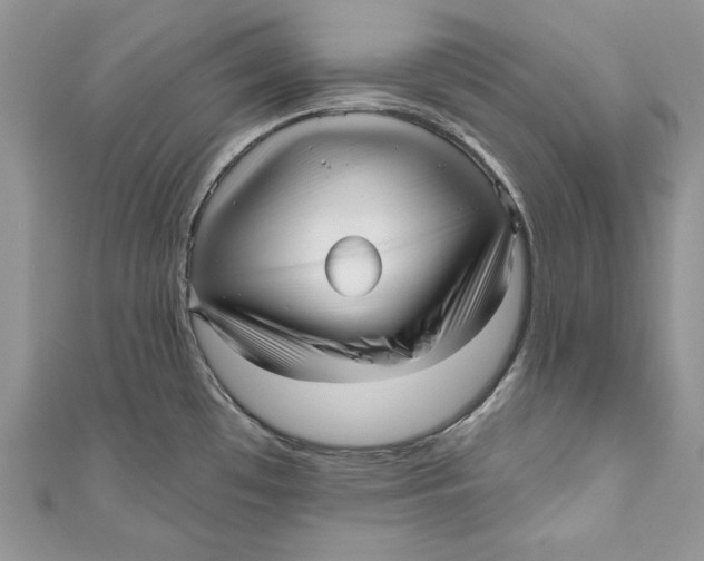 X0000111051481200907161355