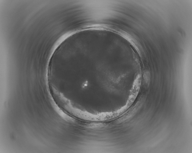 X0000111051482200907161355