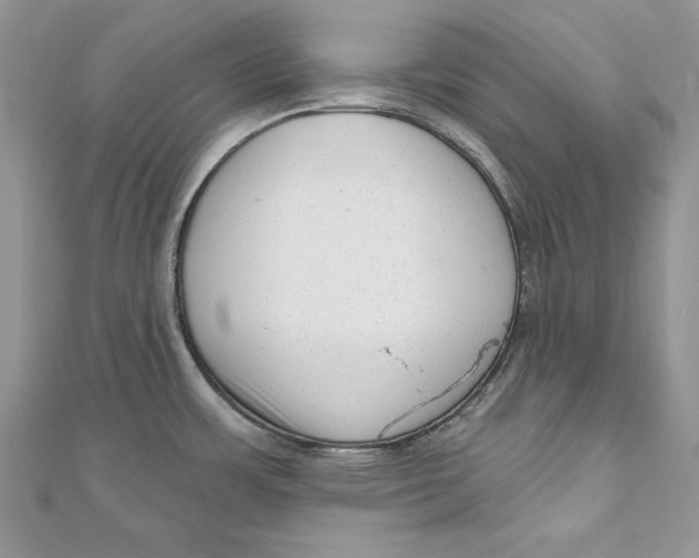 X0000111051483200907161355