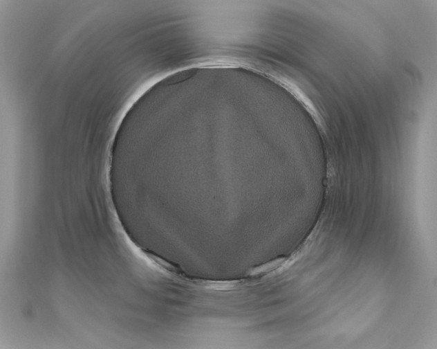 X0000111051484200907161355