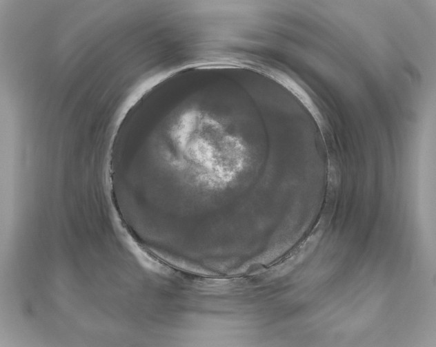 X0000111051485200907161355