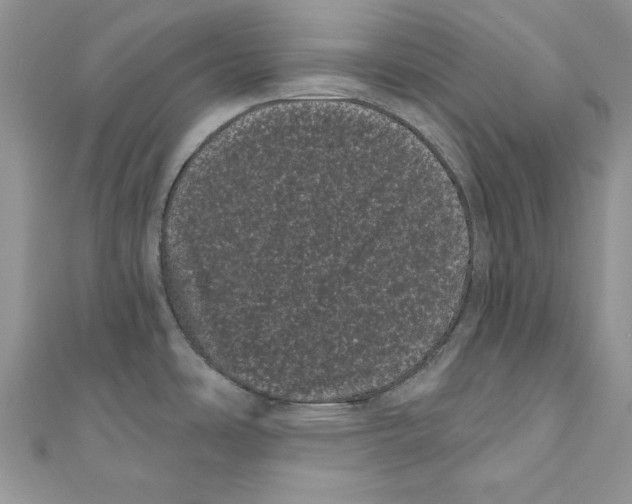 X0000111051486200907161355