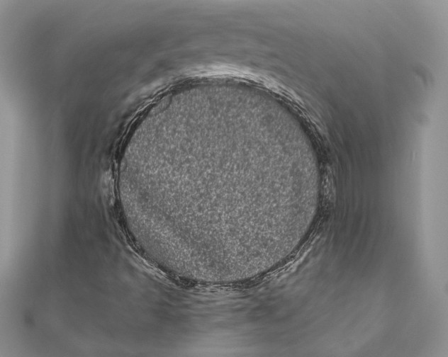 X0000111051493200907161354