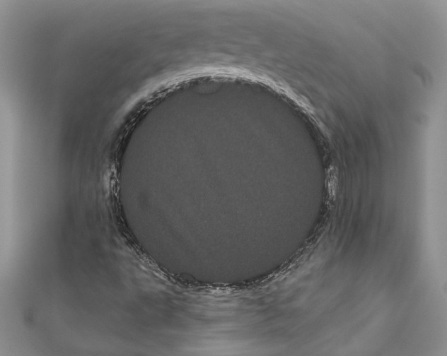 X0000111051495200907161354