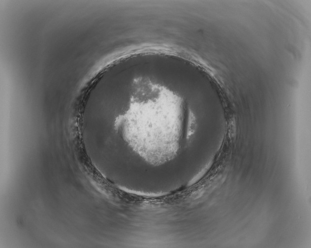 X0000111051496200907161354