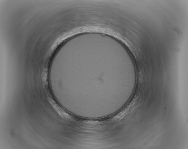 X0000111051499200907161354