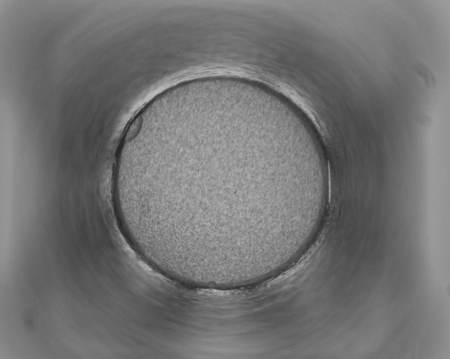 X0000111051500200907161354