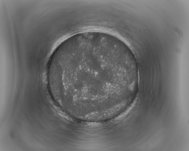 X0000111051501200907161354