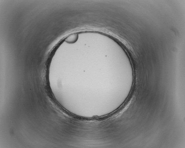 X0000111051502200907161354