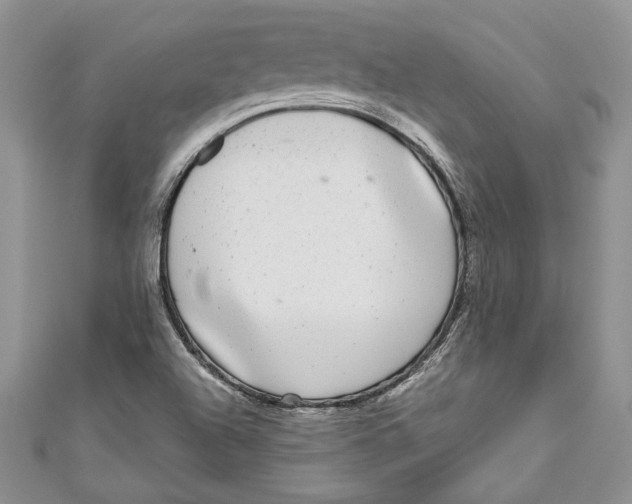 X0000111051504200907161354