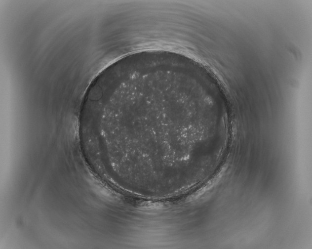 X0000111051505200907161354