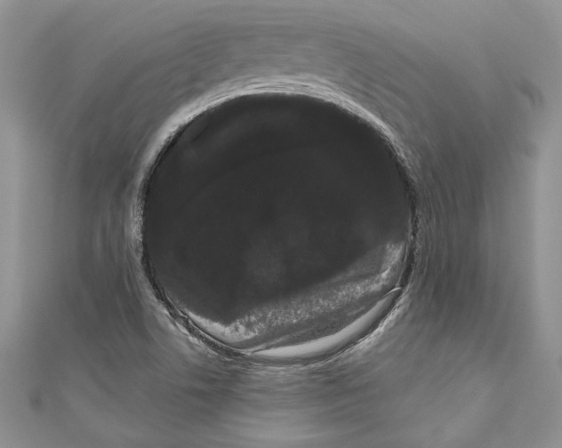 X0000111051506200907161354