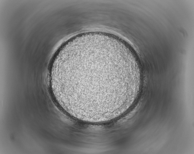 X0000111051509200907161354