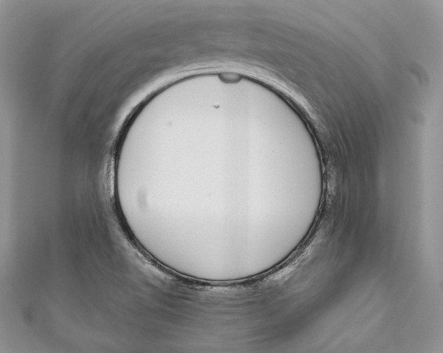 X0000111051510200907161354