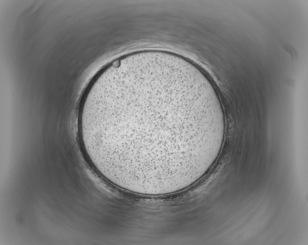 X0000111051511200907161354