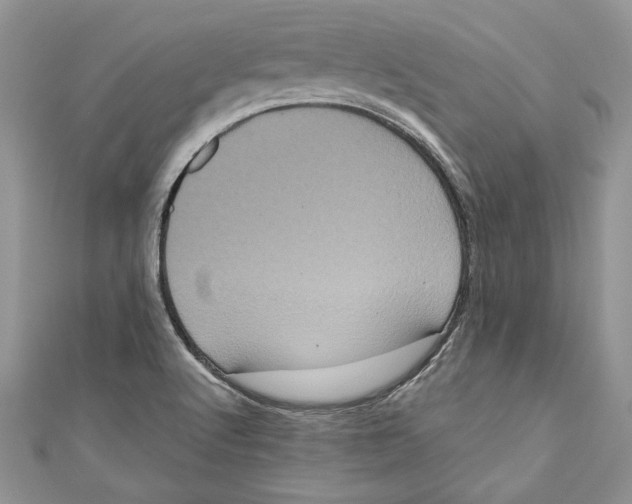 X0000111051512200907161354