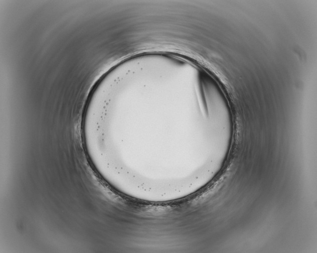 X0000111051513200907161354