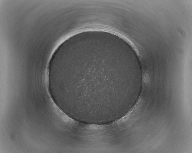 X0000111051514200907161354