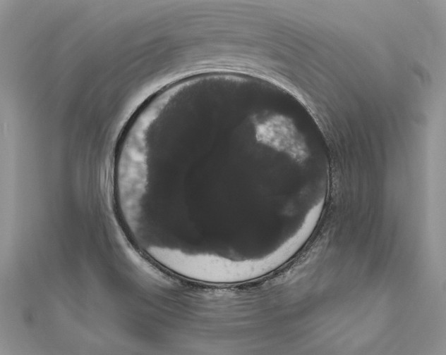 X0000111051515200907161354