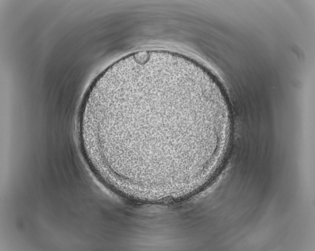 X0000111051517200907161355