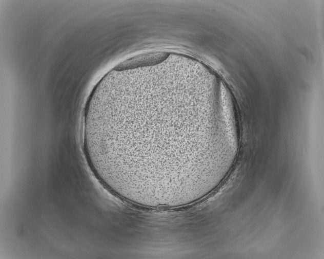 X0000111051520200907161355