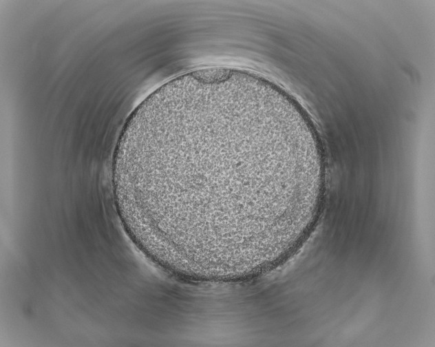 X0000111051521200907161355