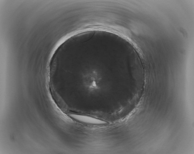 X0000111051522200907161355