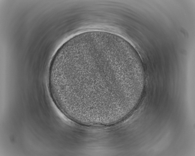 X0000111051523200907161355