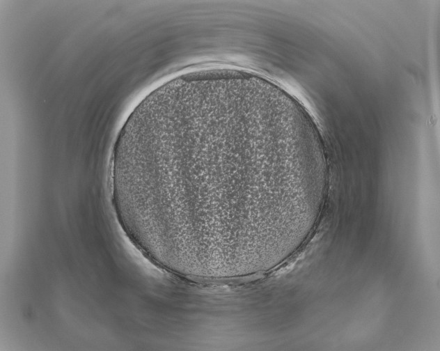 X0000111051524200907161355