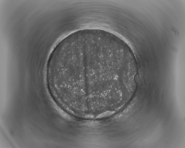 X0000111051525200907161355