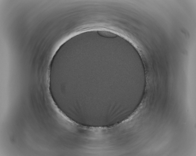 X0000111051526200907161355