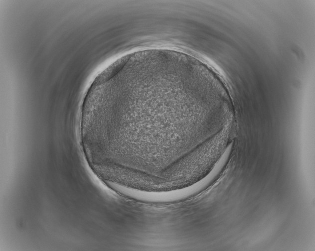 X0000111051528200907161355