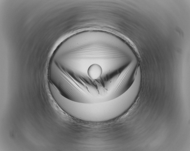 X0000111051530200907161355