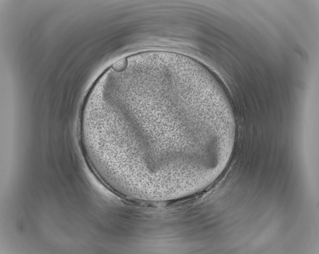 X0000111051531200907161355