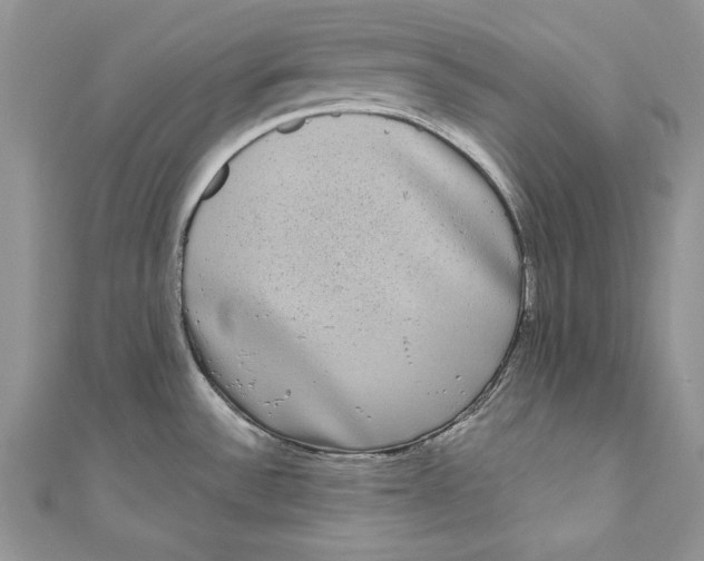 X0000111051532200907161355