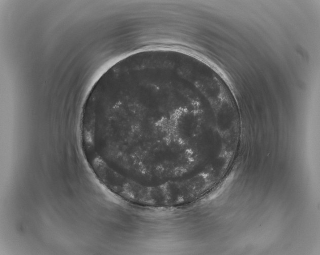 X0000111051533200907161355