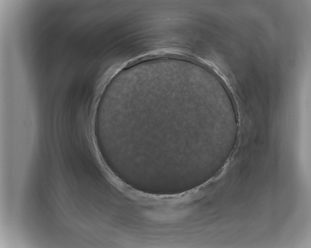 X0000111050001200907231606